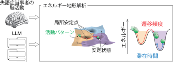 LLMの情報処理は感覚性失語症の脳活動と似ていた～LLMと失語症との情報処理ダイナミクスの比較～