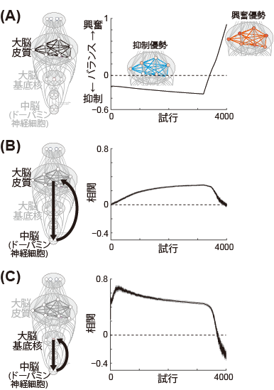 柔軟な認知・学習・情動制御の新たな神経回路機構を提案 ――統合失調症の機序への新たな示唆――
